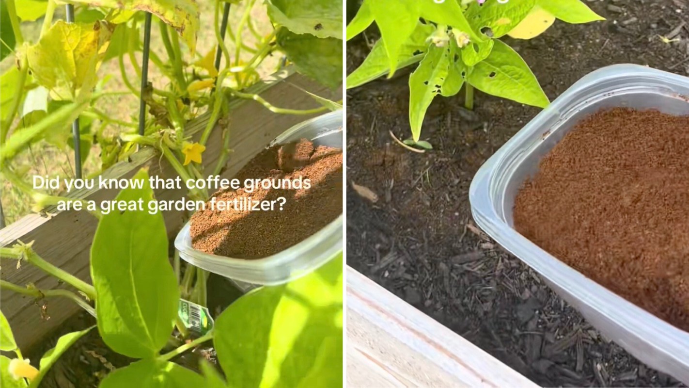 "I'm definitely going to try this!"