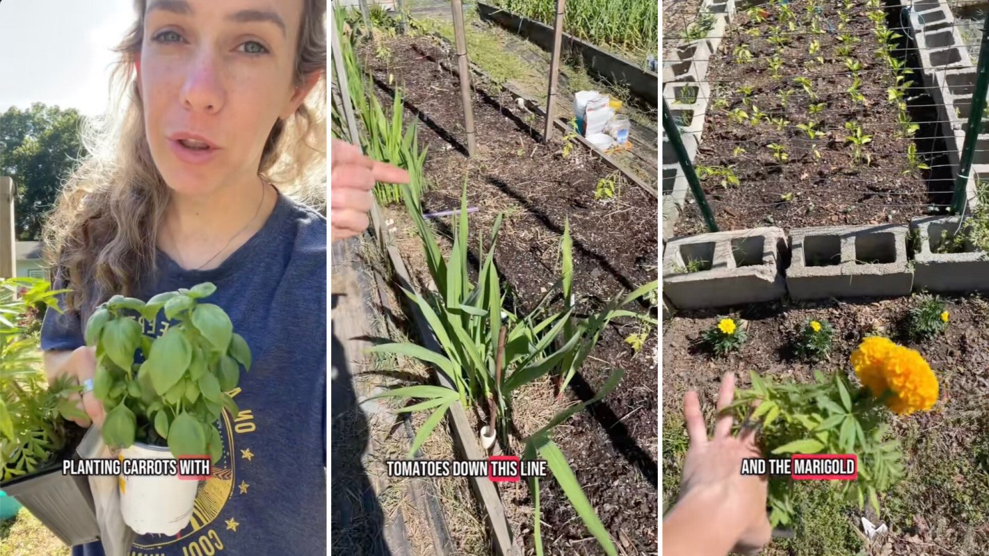 "Anything to help get a good harvest!"