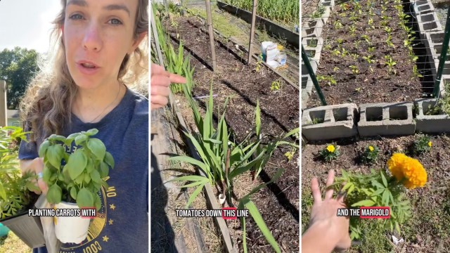 "Anything to help get a good harvest!"