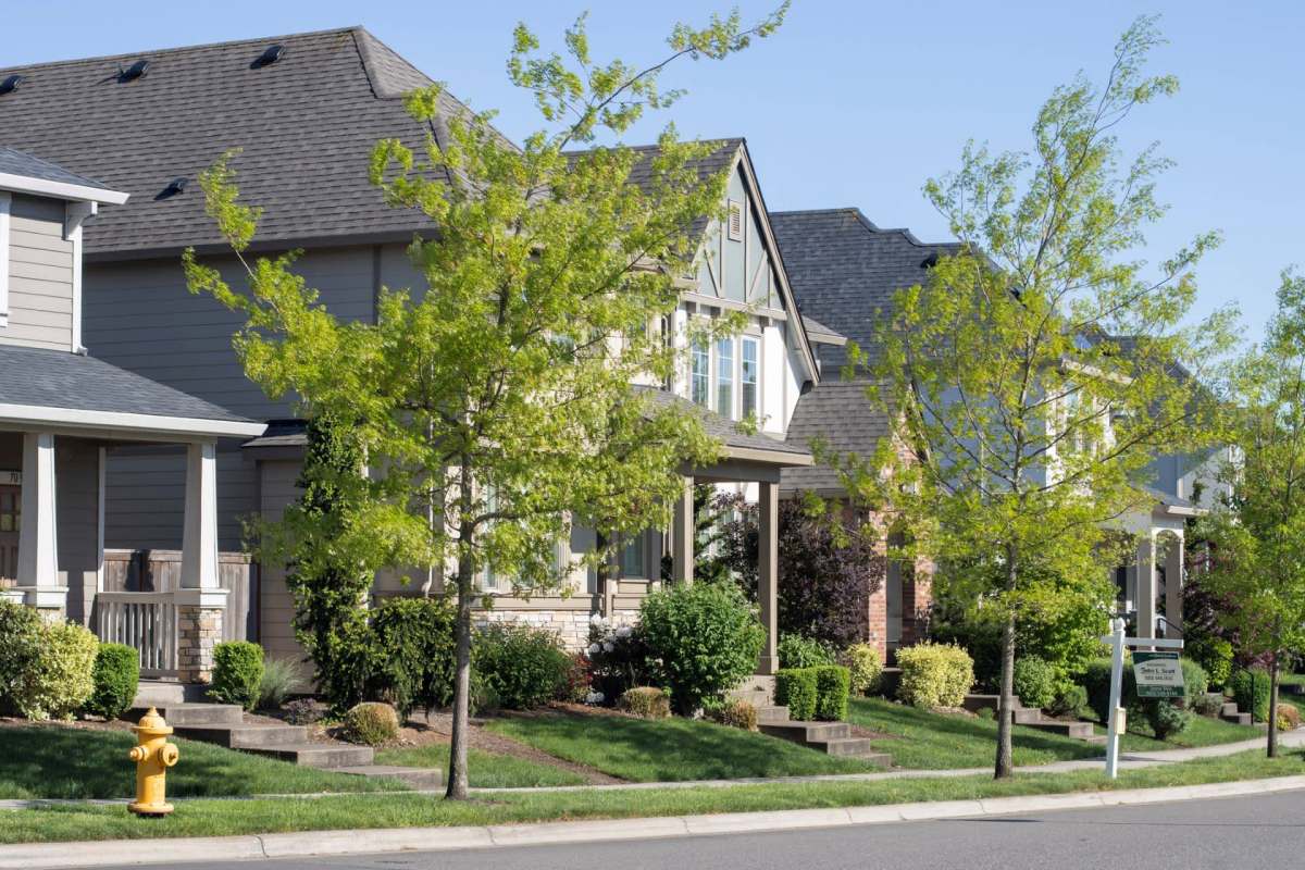 "You can hire an attorney."