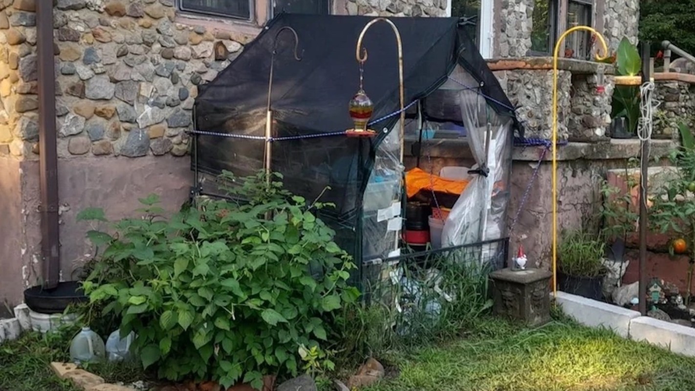 "What a great idea."