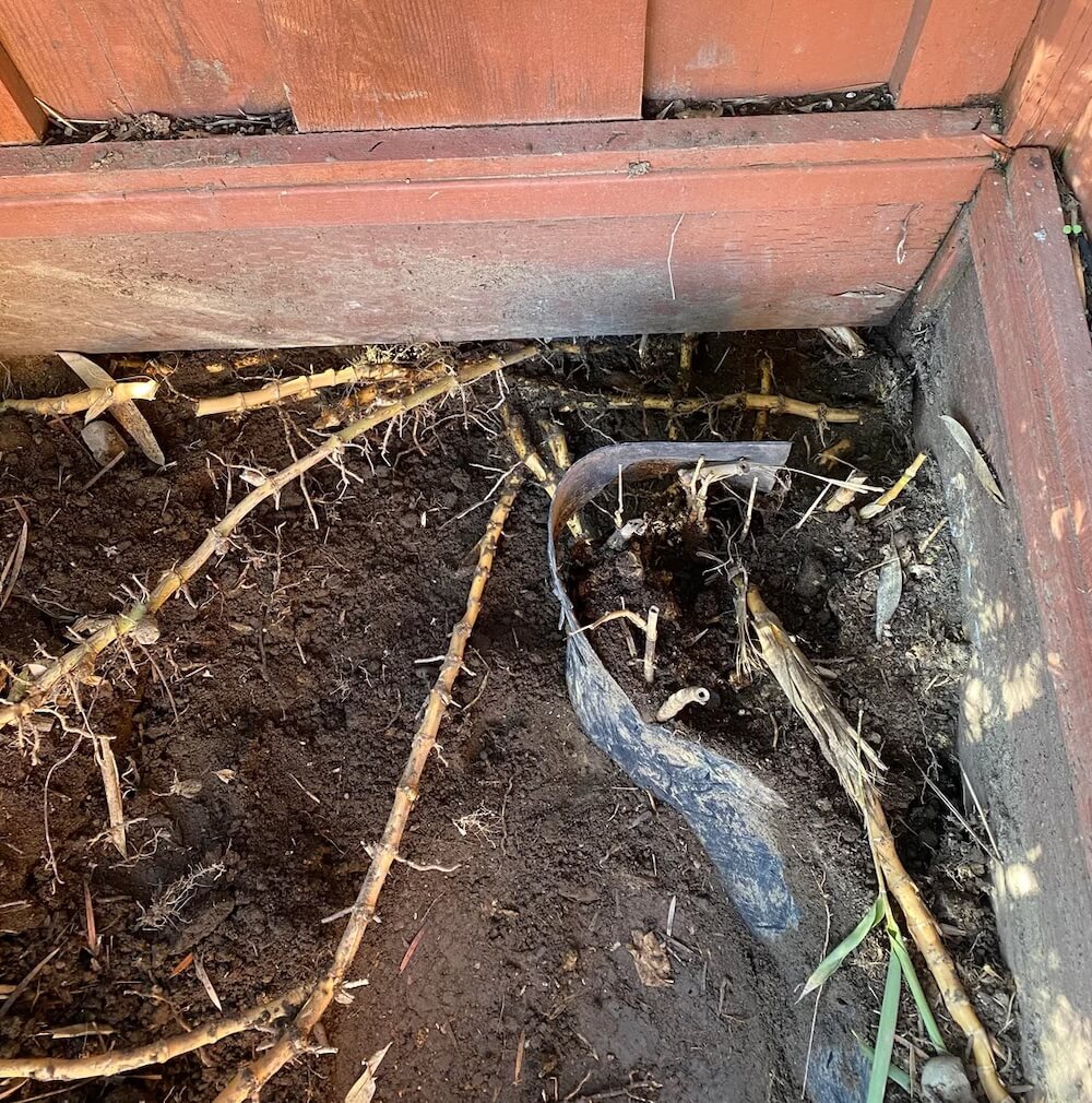 Others were quick to offer support.