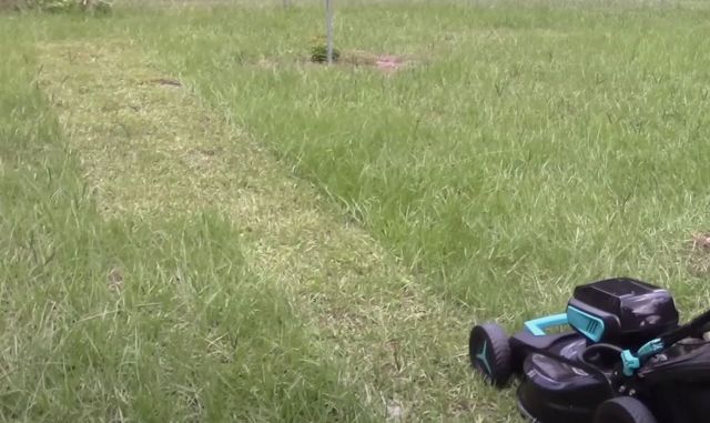 "It's performing very well."