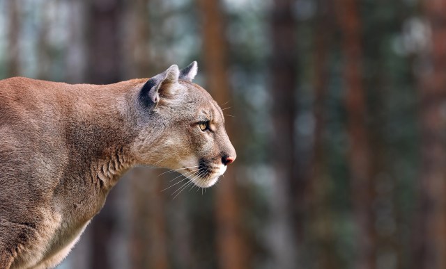 "Well that took some guts!"