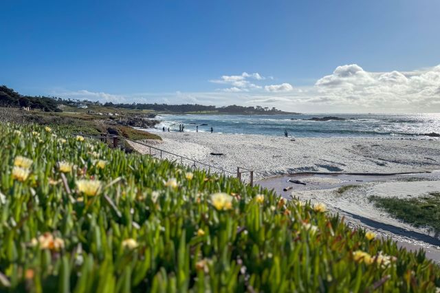 "If you let them keep them to themselves, then they'll keep to themselves."