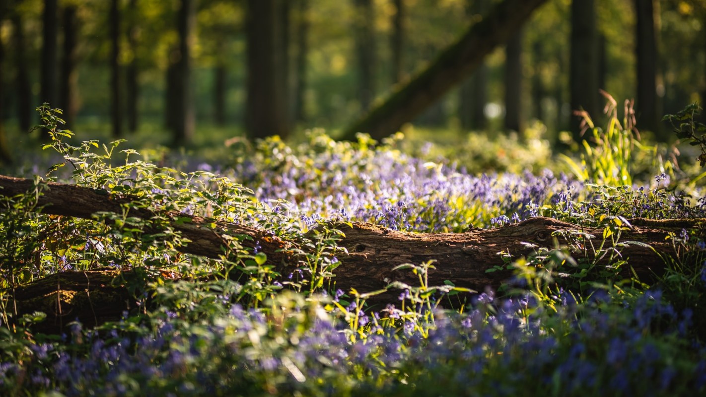 "If it seems weird or wrong or even gross … that's your cultural norms talking, not objective reality."