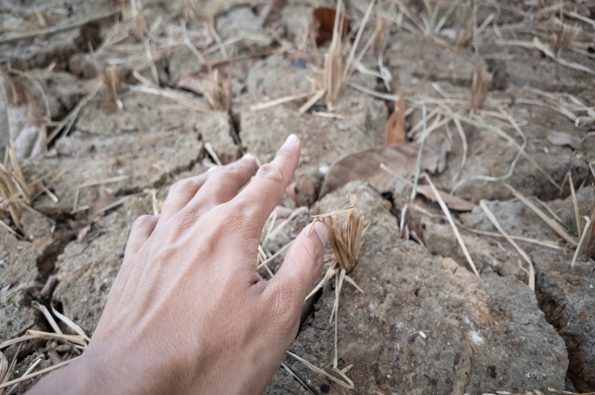 "You don’t have the price that you need to pay for that."