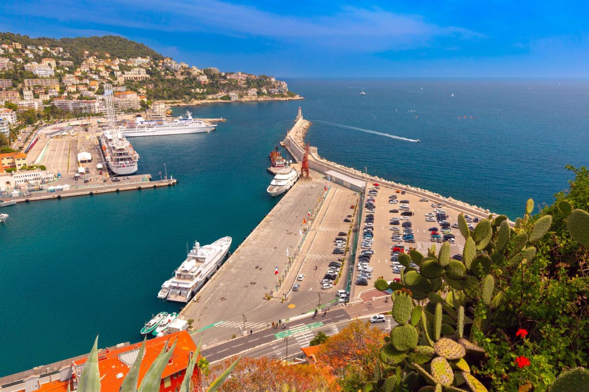 "They have gotten too big and intrusive."