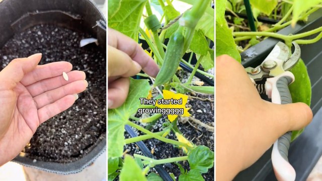 This DIY hack saves you both money and effort.