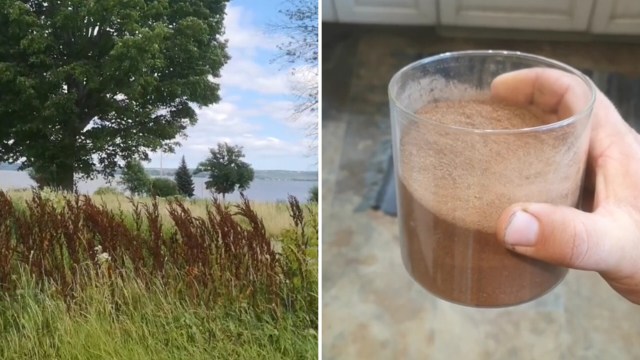 "Being a farmer I do have some of this."