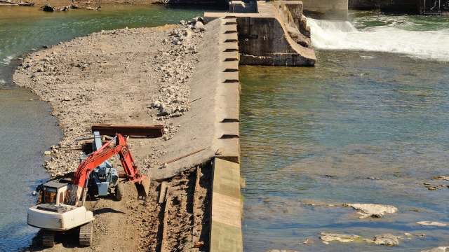 "The research demonstrates the resilience of nature."