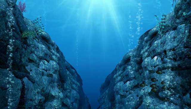 The discovery comes as nations debate whether to mine the seafloor for minerals.
