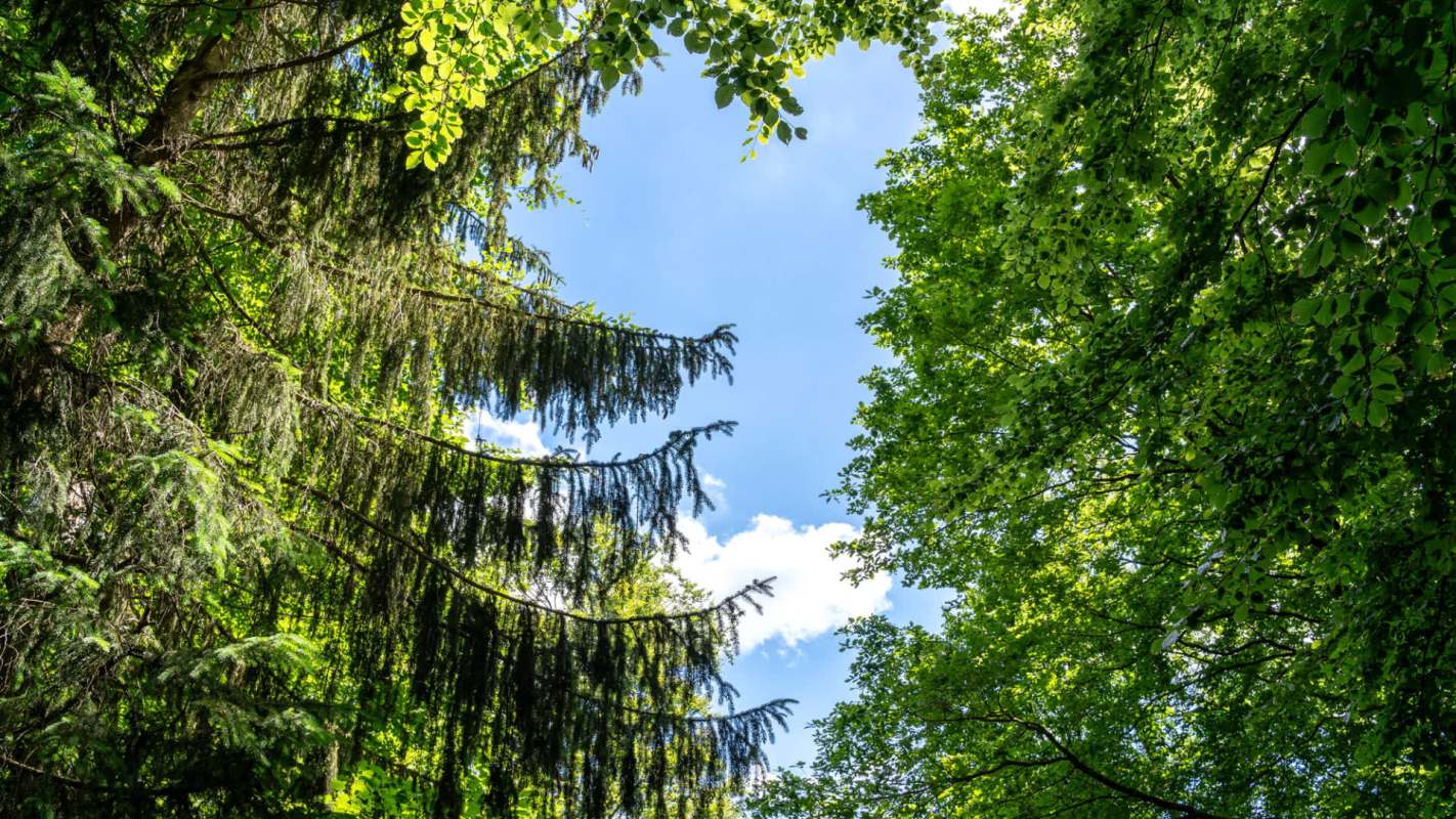 Paul is a student at Burt Township School, and he's also enthusiastic about the outdoors and about conservation.