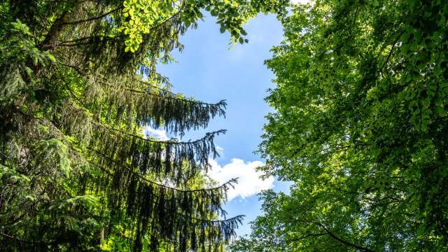 Paul is a student at Burt Township School, and he's also enthusiastic about the outdoors and about conservation.
