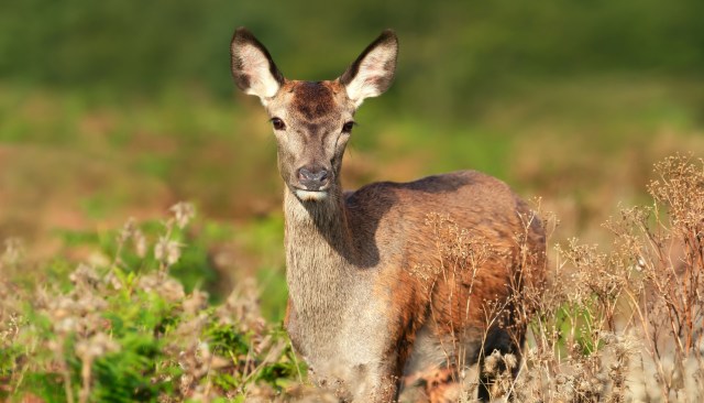 "So glad this story has a happy ending."