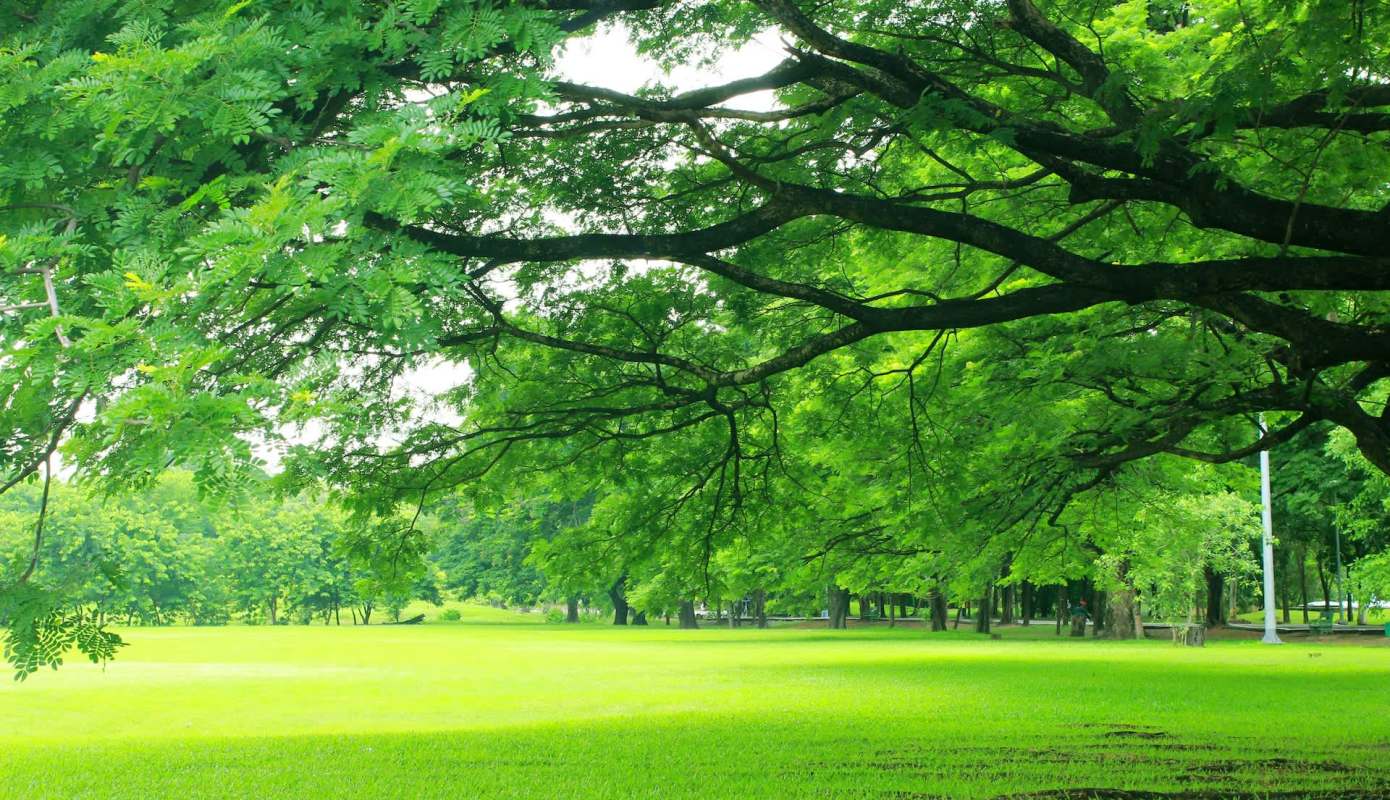 New research uncovers surprising connection between air pollution and major illness: 'The findings here showed a positive association'