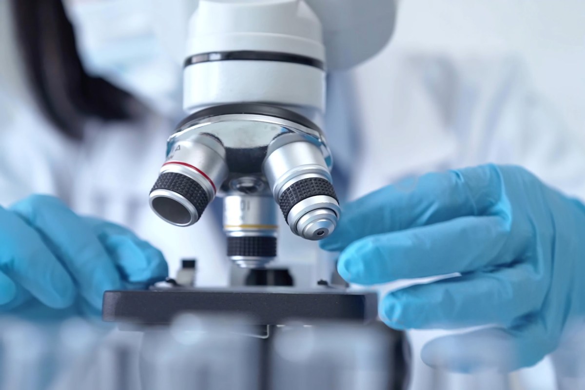 The chemicals persist in our surroundings and in human tissue because they resist breaking down naturally.