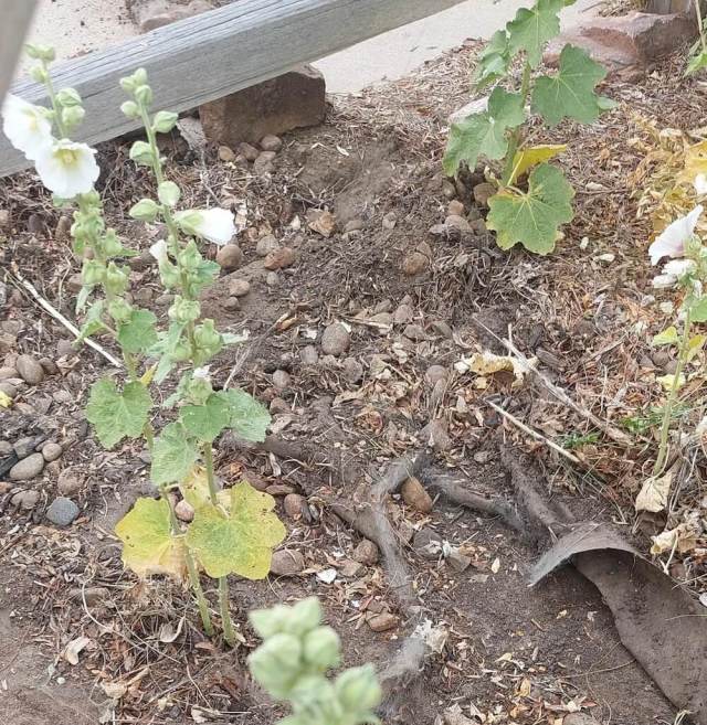 "This is triggering me."