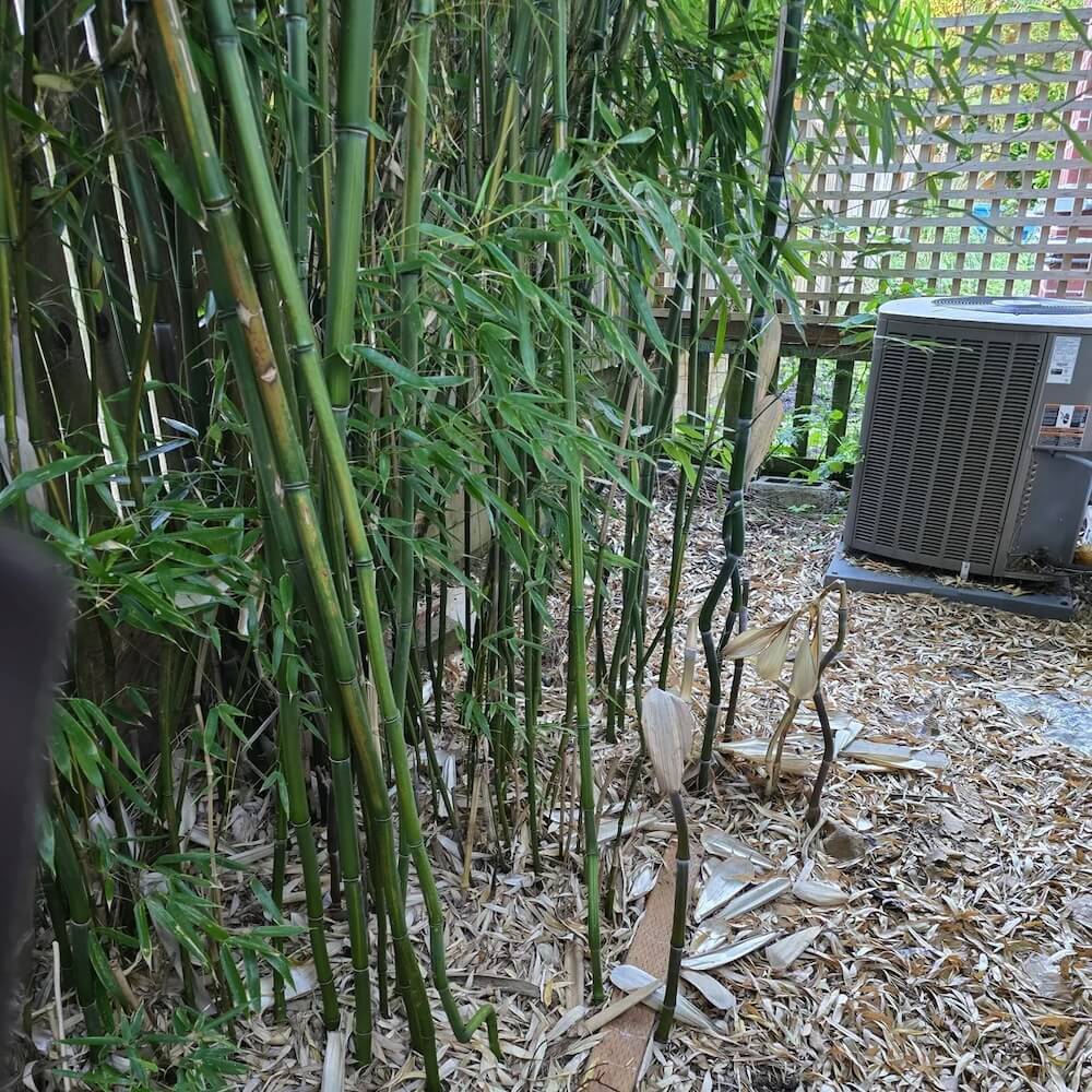 "Will they expand and hit my house?"