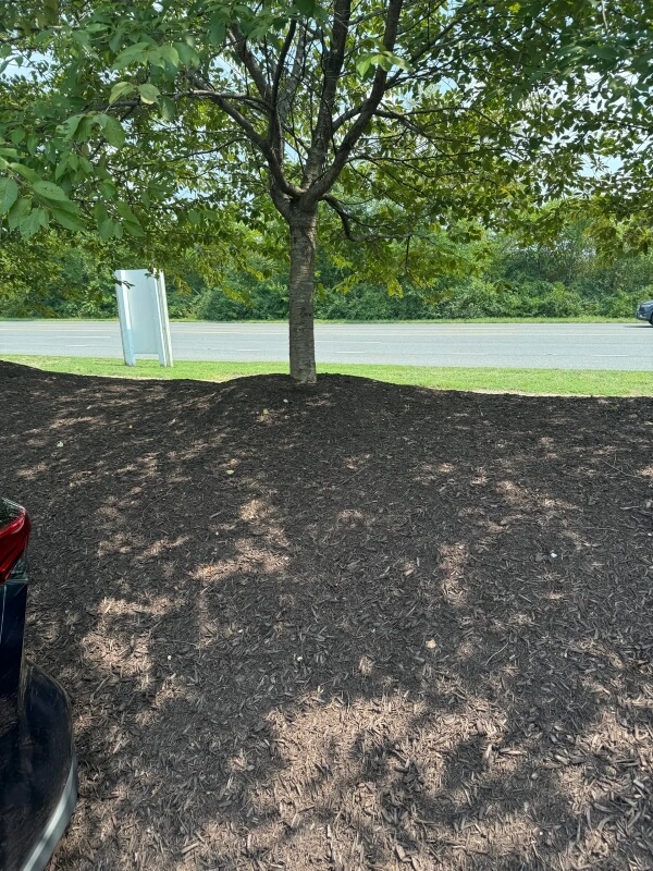 It can be very harmful.