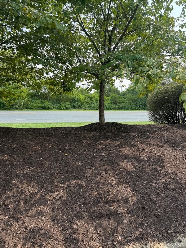 It can be very harmful.