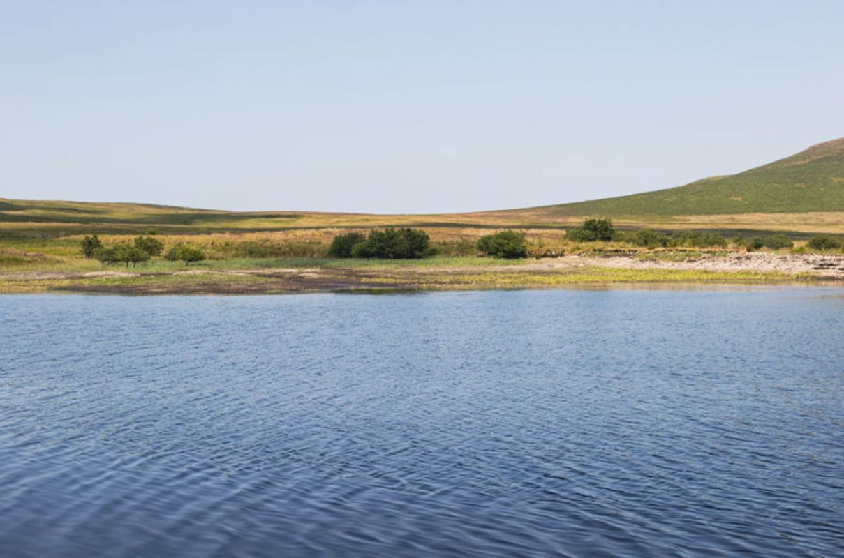 It's a sign that smart environmental stewardship is working.