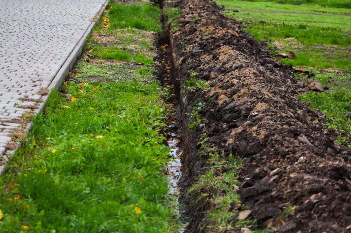 "We want to know what happens!"