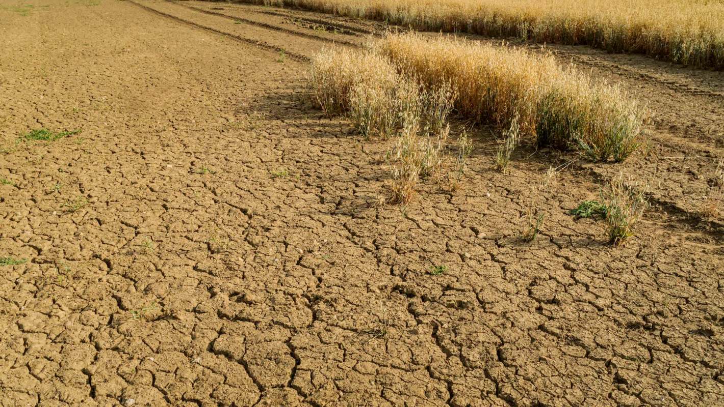 Coffee, bread, meat, and cooking oils are becoming harder to afford.