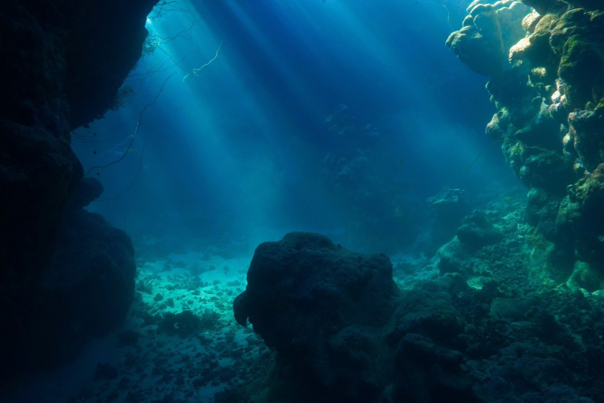 They are relics from thousands of years ago.