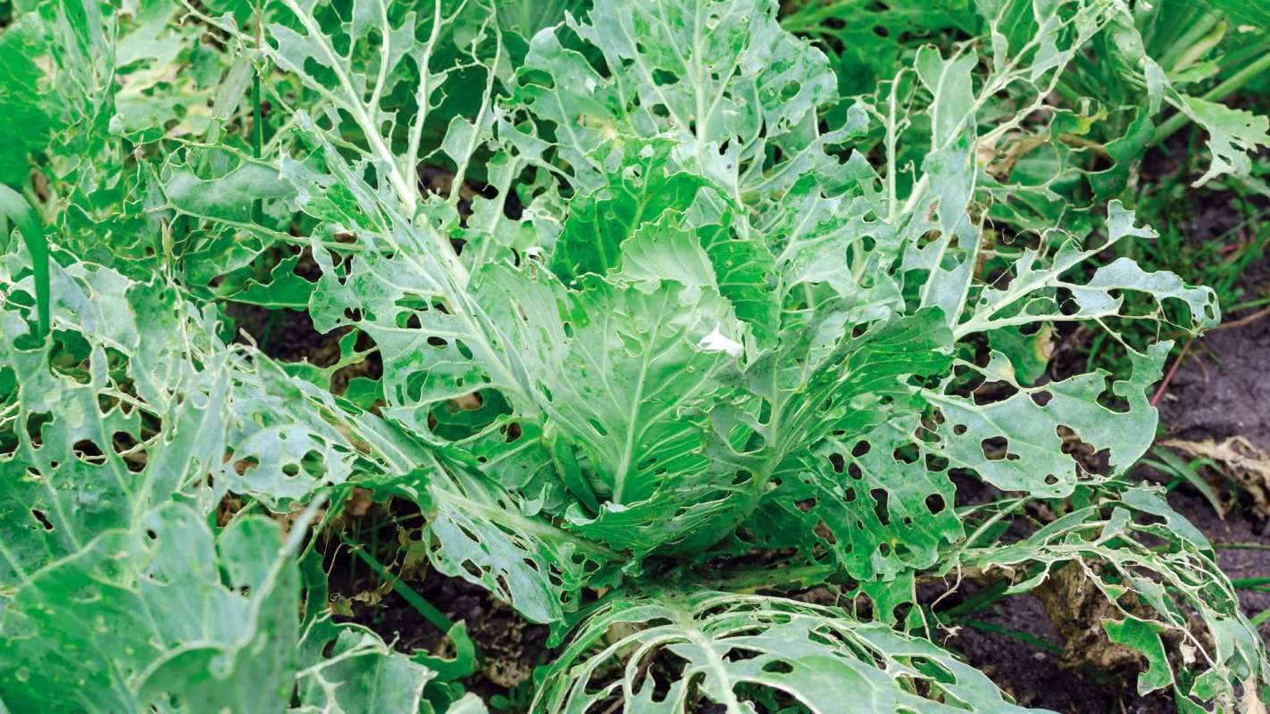 "Would make a huge difference in a production system."