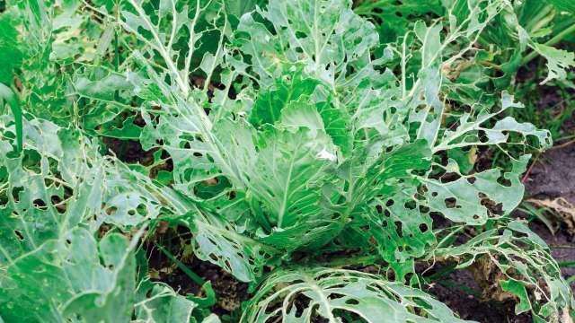 "Would make a huge difference in a production system."