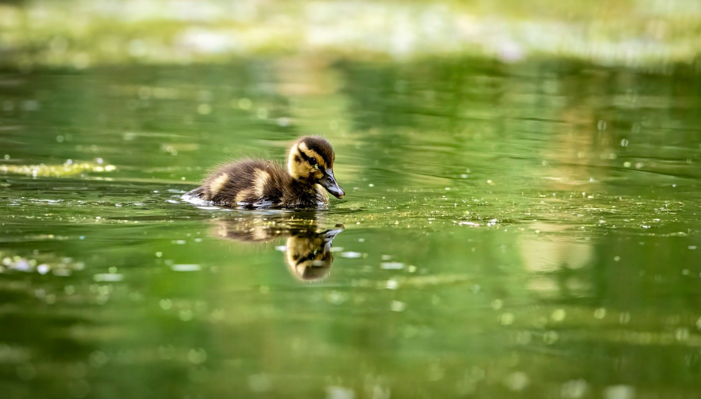 "We are ruining it for everybody."