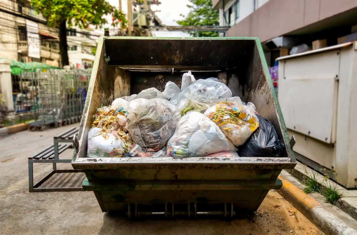 "Look at all the Banana Bread we could bake."