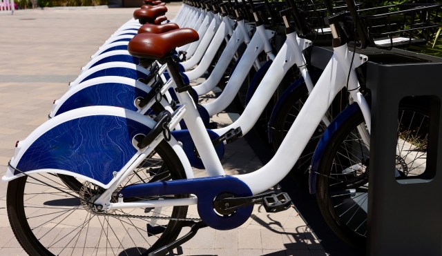 "I roam and explore."