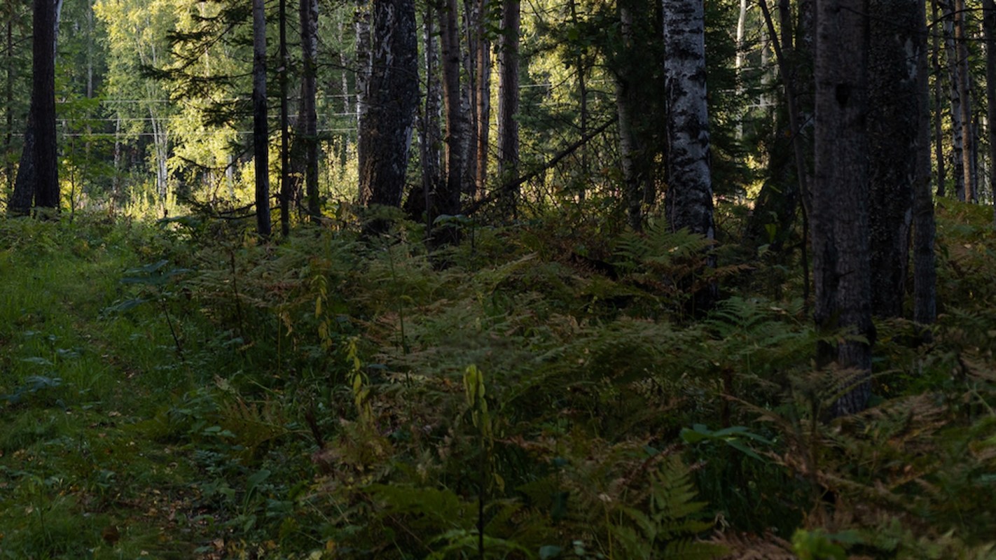 "It doesn't just disappear."