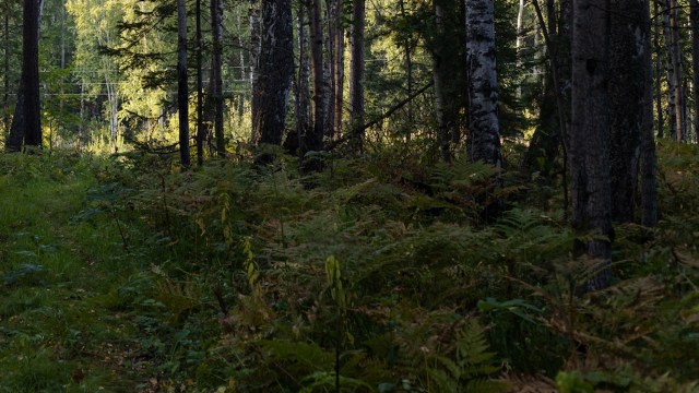 "It doesn't just disappear."