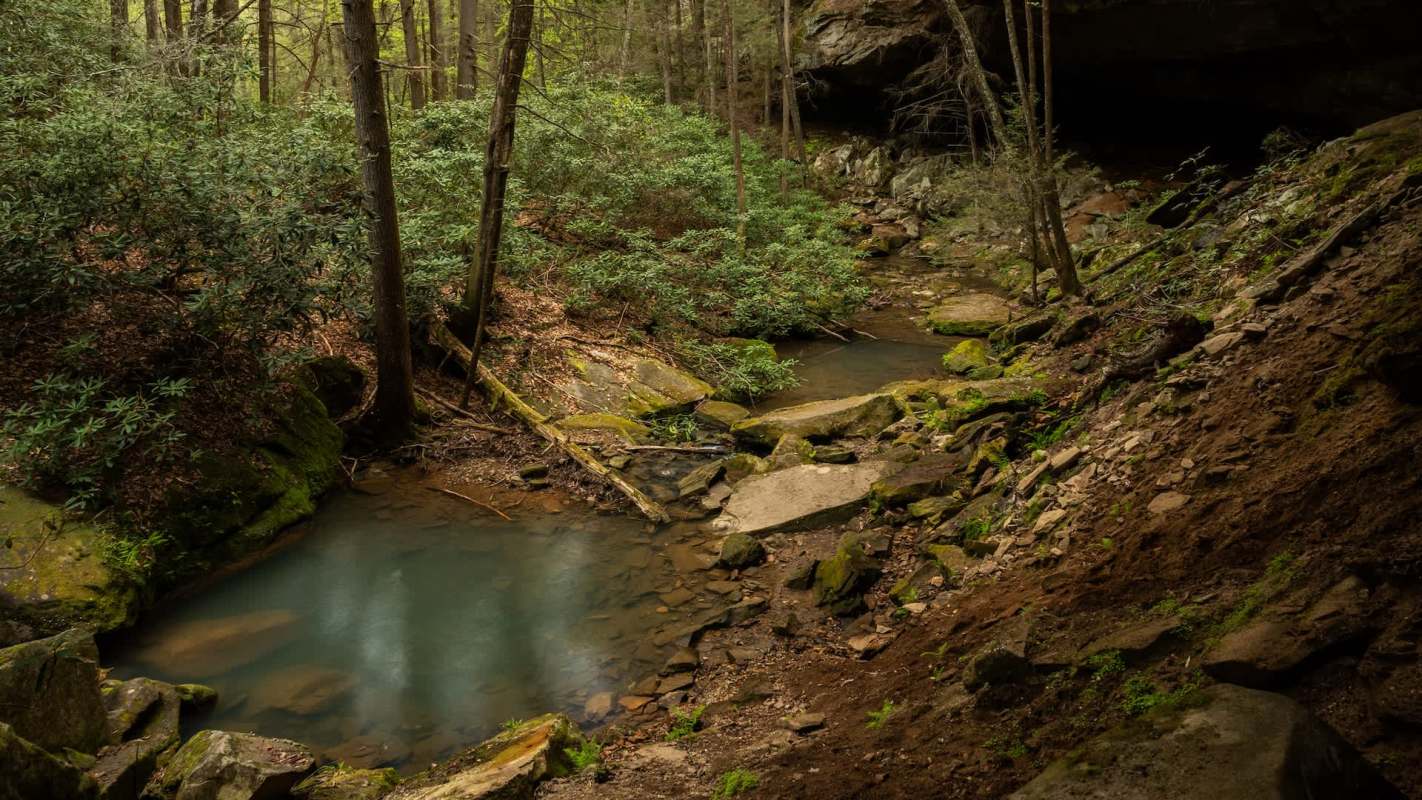 The health of rivers and streams is key for the health of all of us.