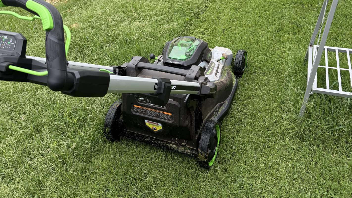 "Let the grass get a little long these past couple weeks..."