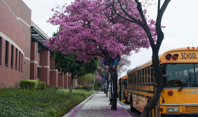 "This is what it looks like to put students first."