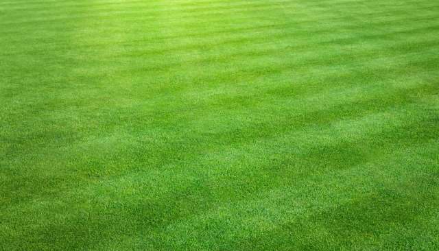 "The cut is exceptional."