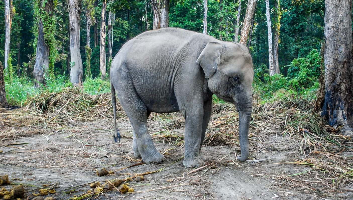 "These operations will continue."