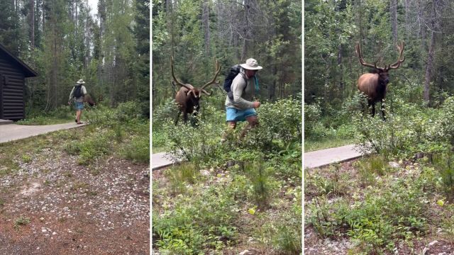 Instagram commenters were astonished by the tourist's behavior.