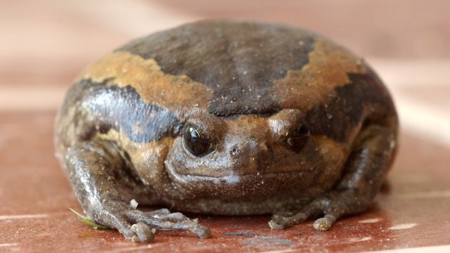 "Just imagine an entire population."