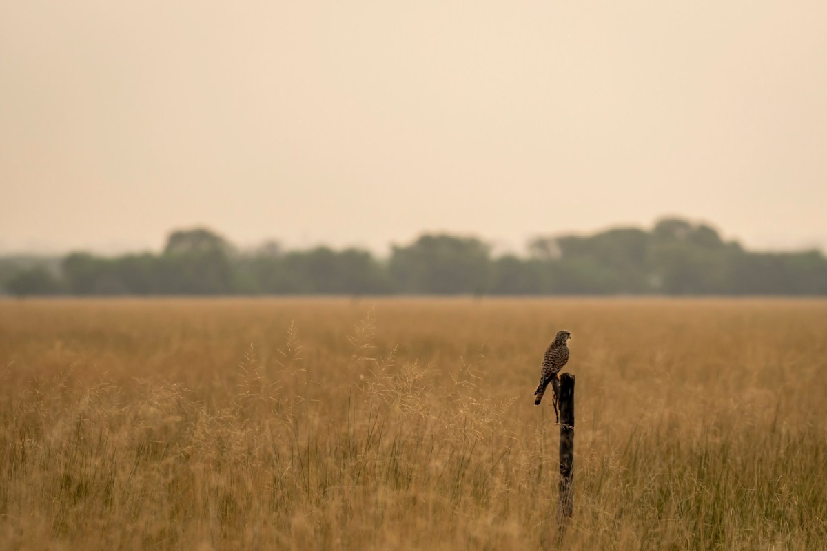 There is usually backlash in the wake of laws like these.