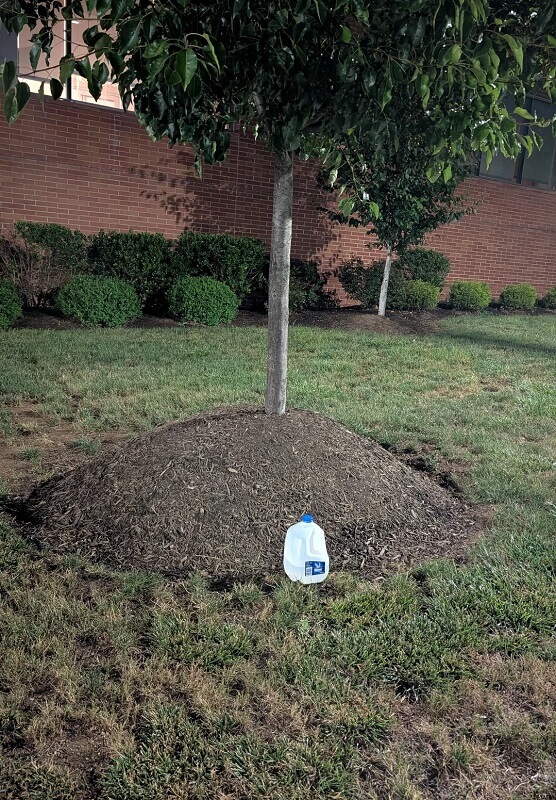 "From this angle..."