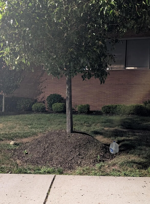 "From this angle..."