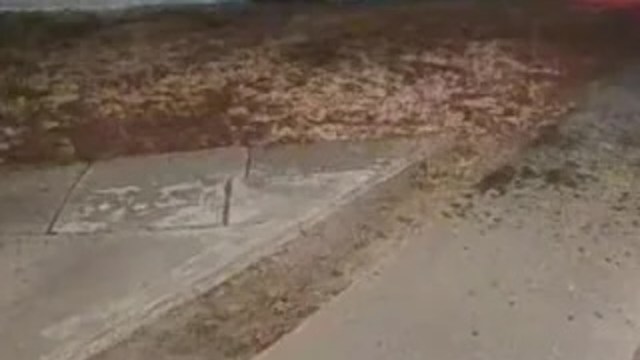 "They really are the neighbors from hell."