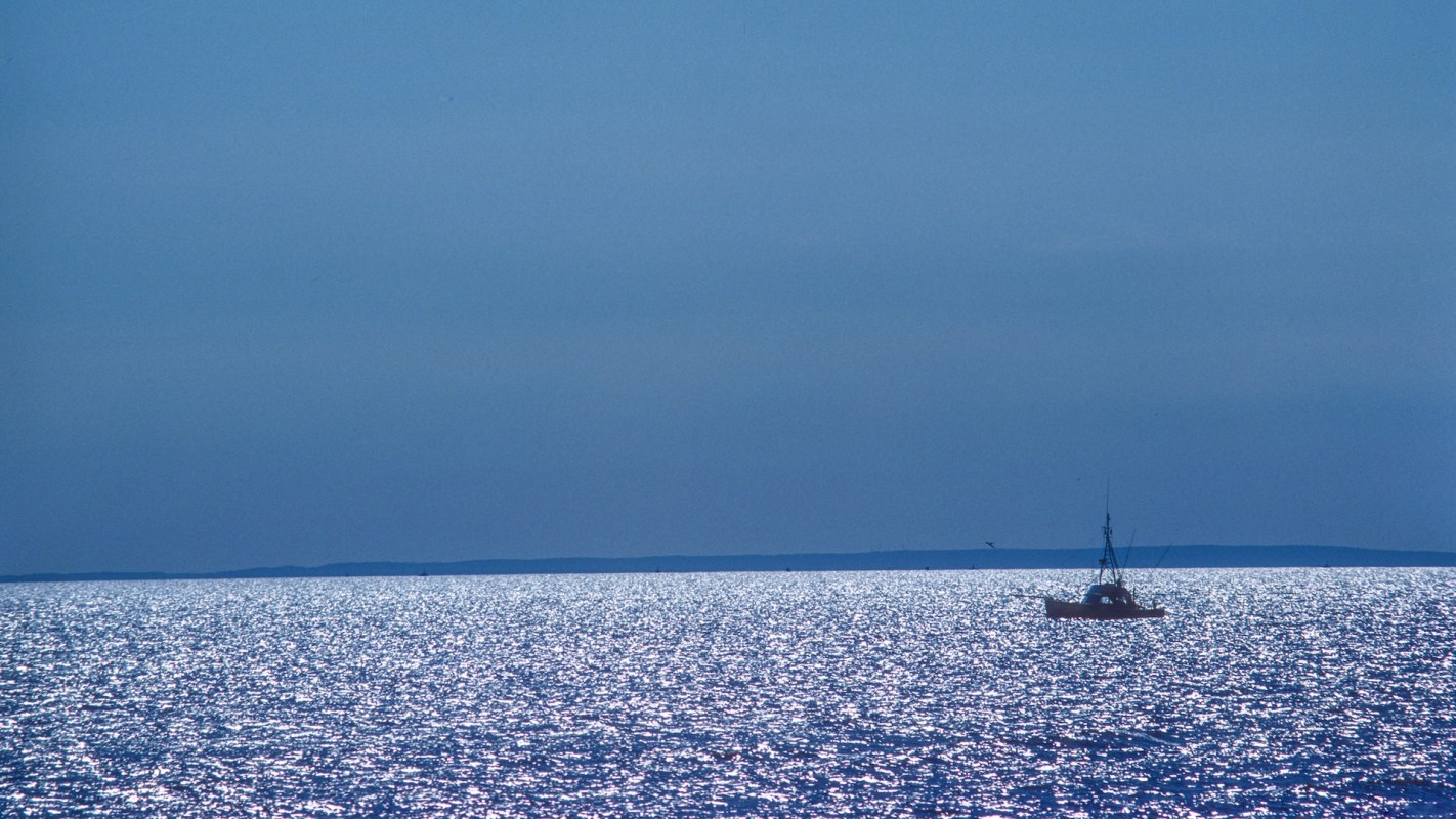 "A healthy ocean relies on flourishing marine animals and habitats."