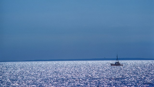 "A healthy ocean relies on flourishing marine animals and habitats."