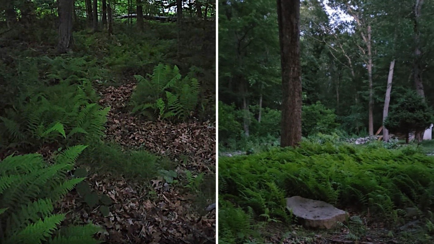 "Thank you for posting this," one commenter wrote.